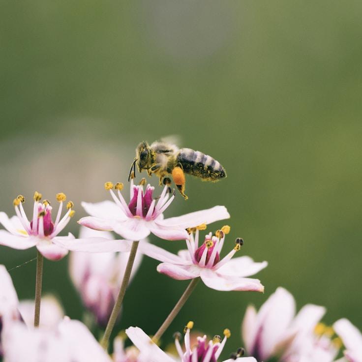 Scenic nature travel banner